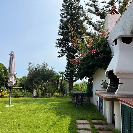 Villa Il Giardino Su Capo Caccia Alguer Exterior foto