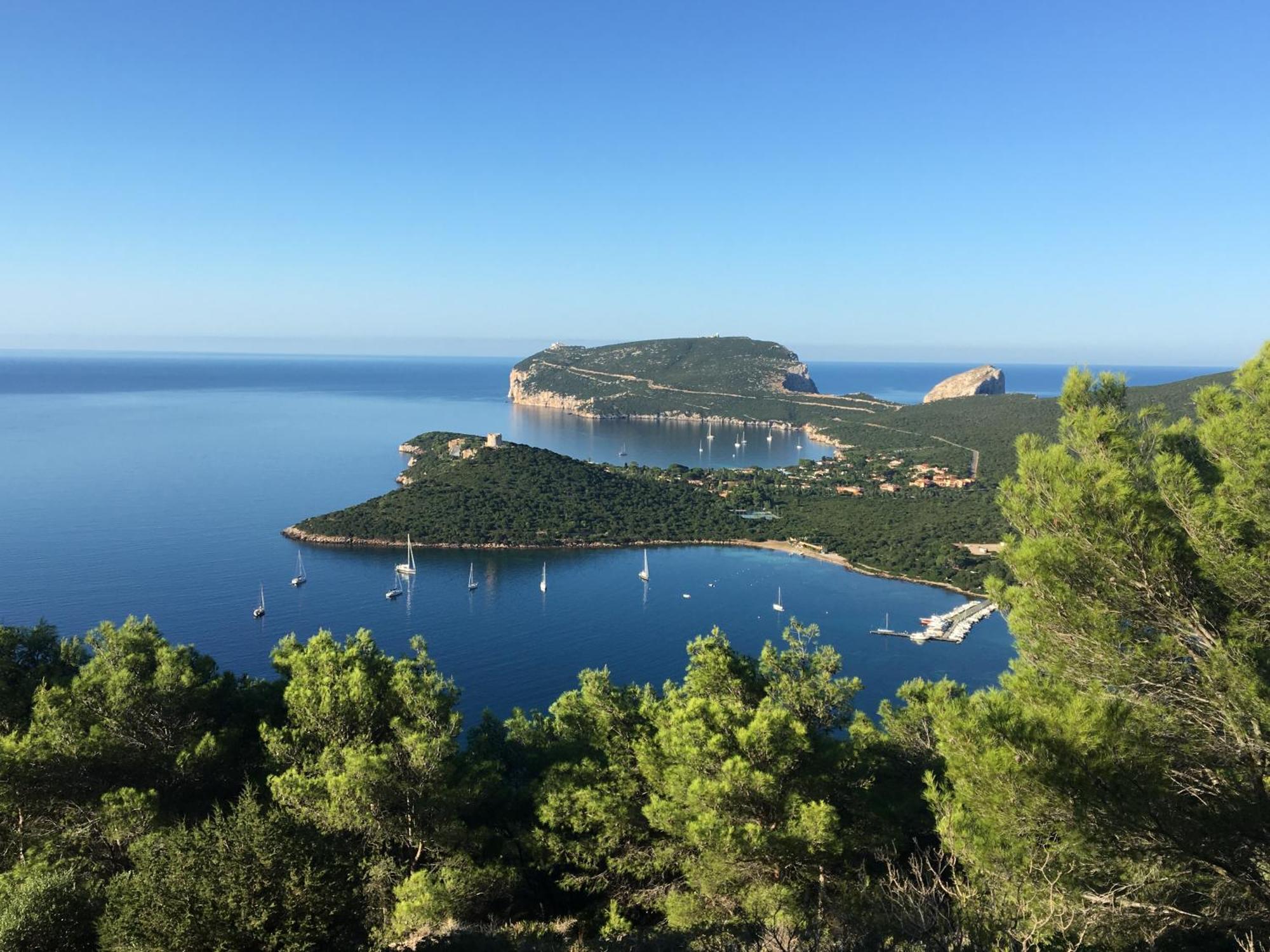 Villa Il Giardino Su Capo Caccia Alguer Exterior foto